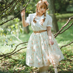 Miss Point - Customized Vintage Sweet Elegant Rose Skirt