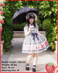 Chubby Cat Diary - Gingham Strawberry - Plus Size Country Lolita OP Dress